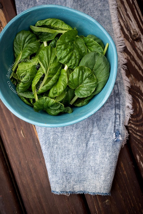 Spinach in a bowl.