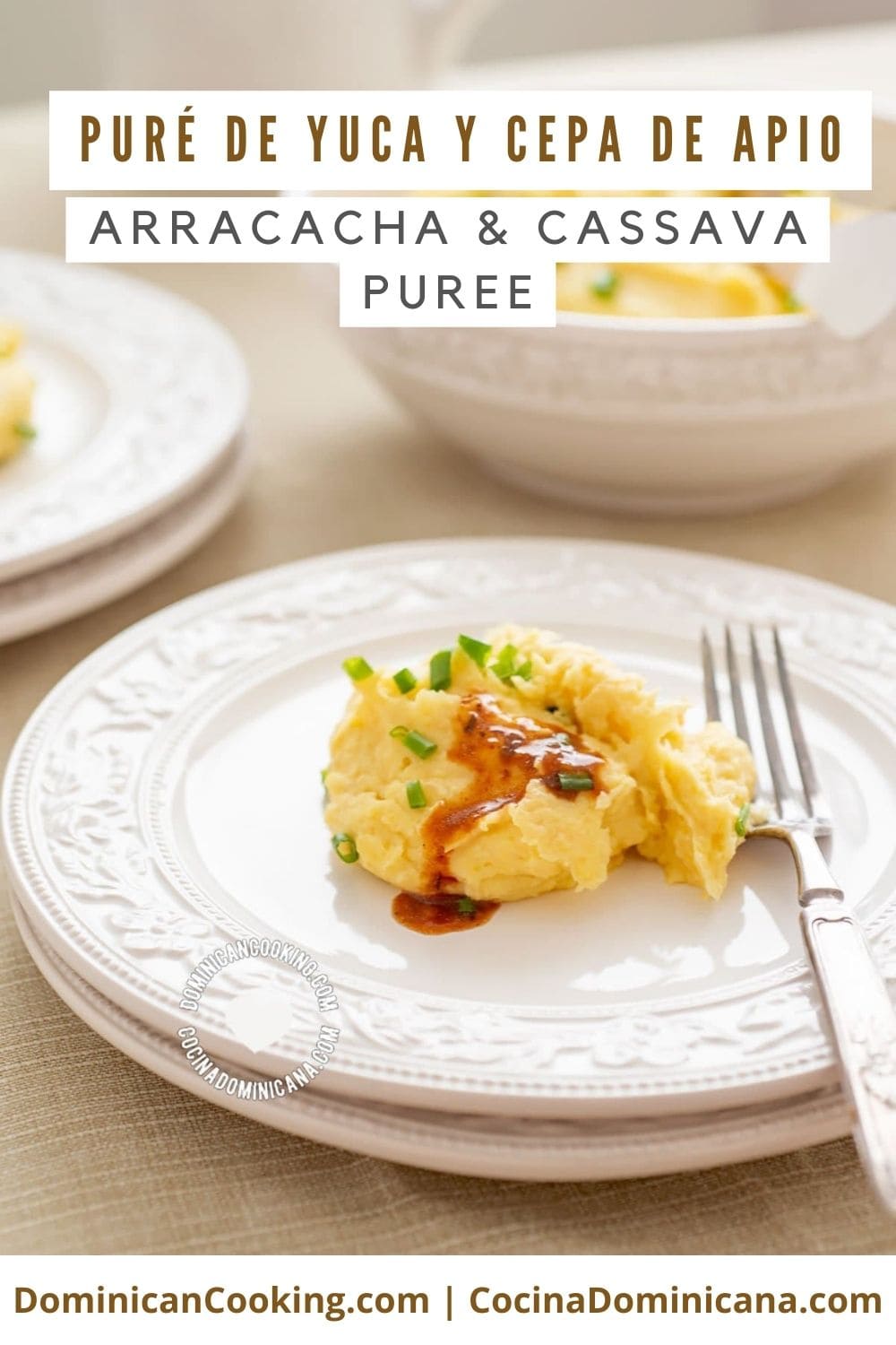 Cepa de Apio and Yuca Mash (Arracacha and Cassava Puree) recipe.