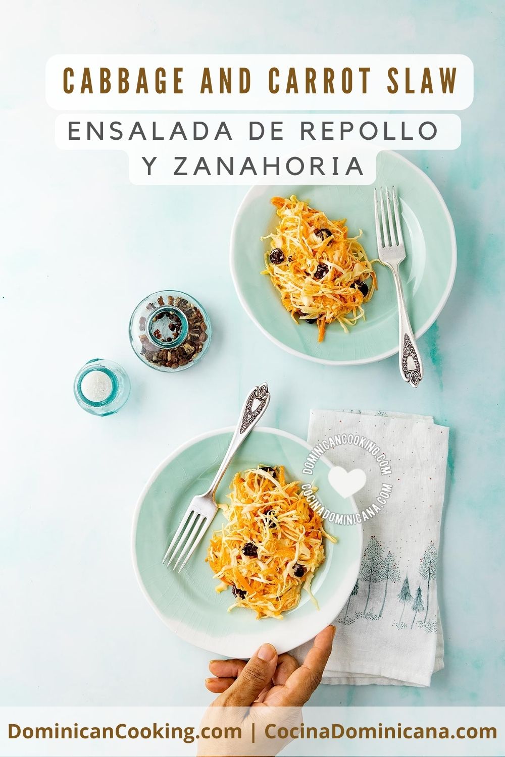 Cabbage & Carrot Slaw [Video+Recipe] Ensalada Repollo y Zanahoria
