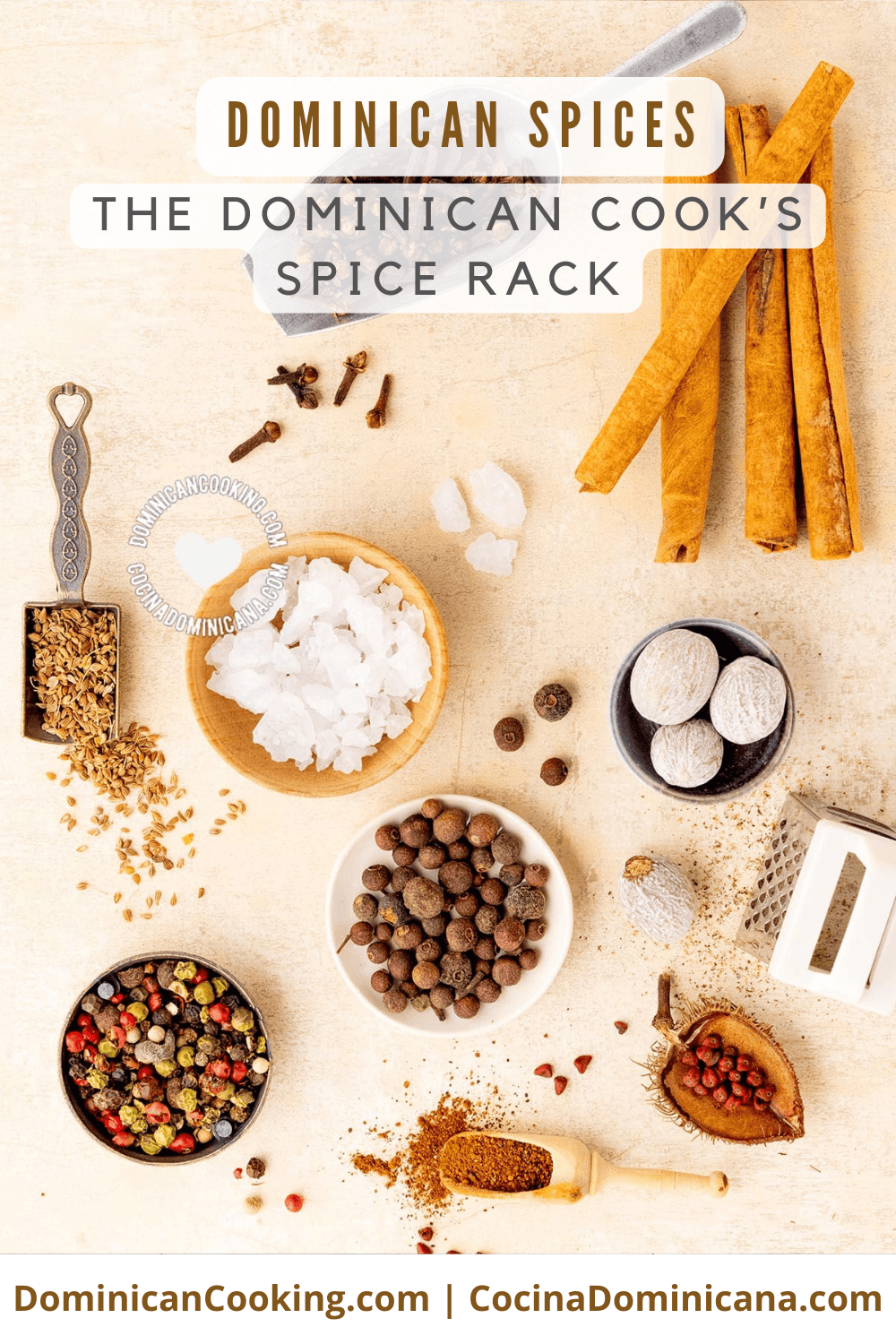 Dominican spices: the Dominican cook's spice rack.