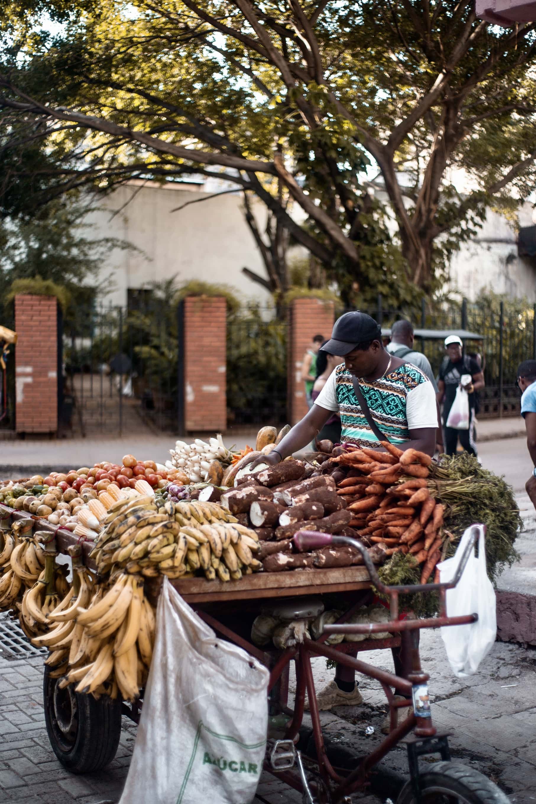 Havana street vendor.