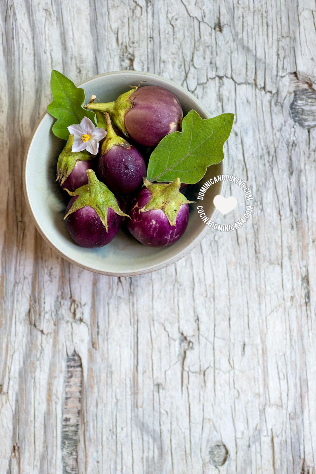 berenjenas-eggplants