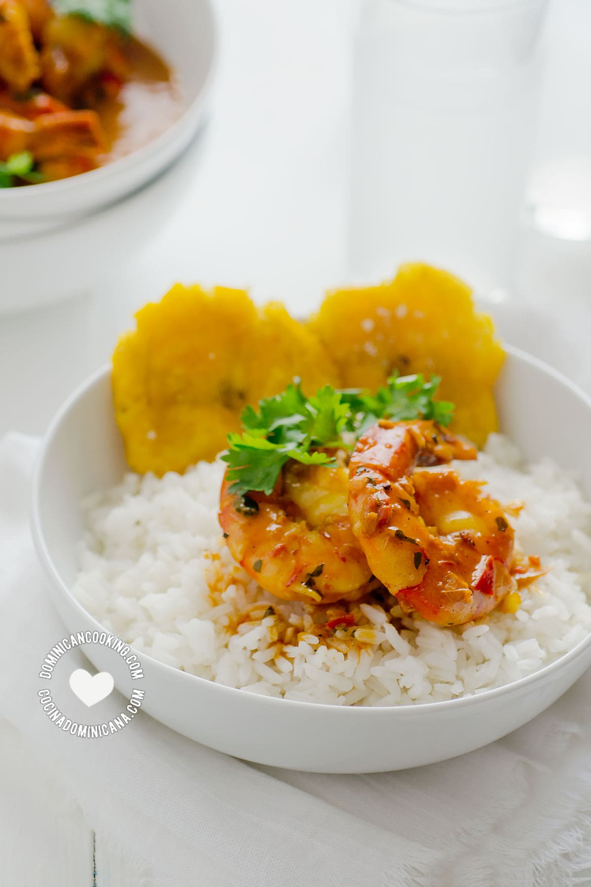 Shrimp with Coconut and Ginger Sauce on Rice and Tostones