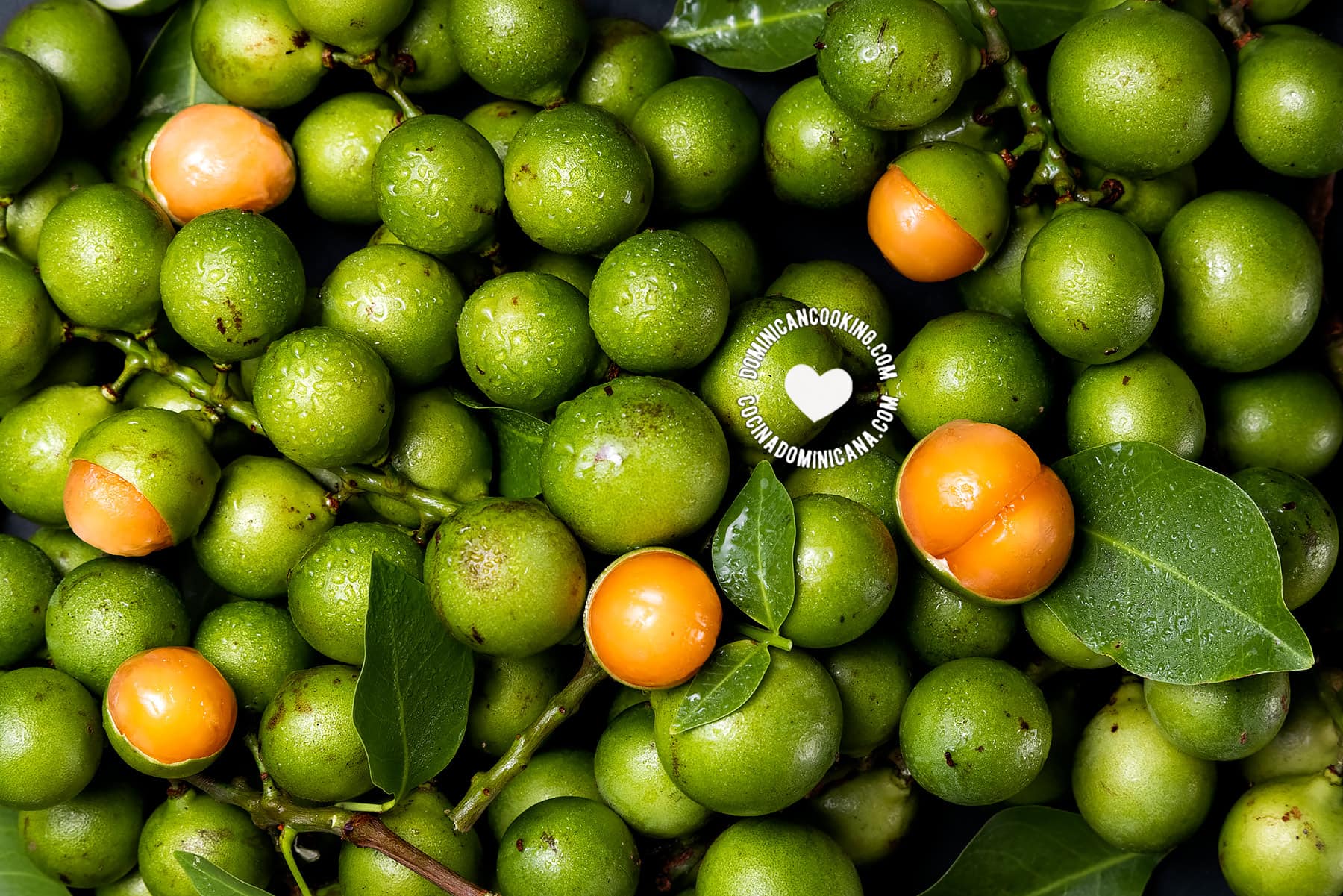 Limoncillo, quenepa (Spanish lime)