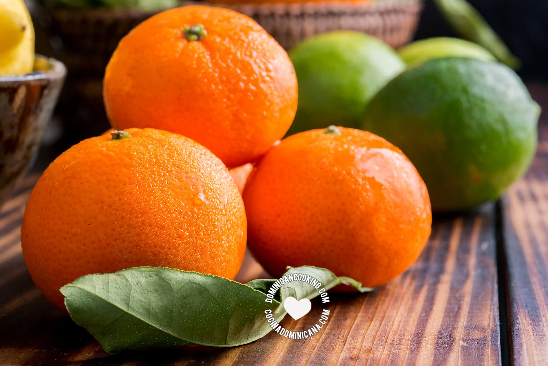 Mandarina (mandarins)