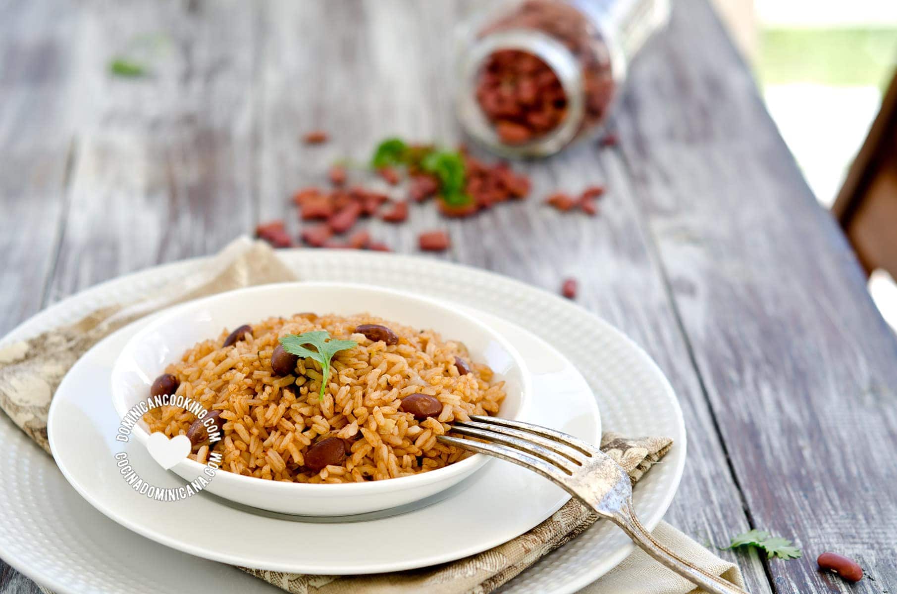 Dominican rice with beans.