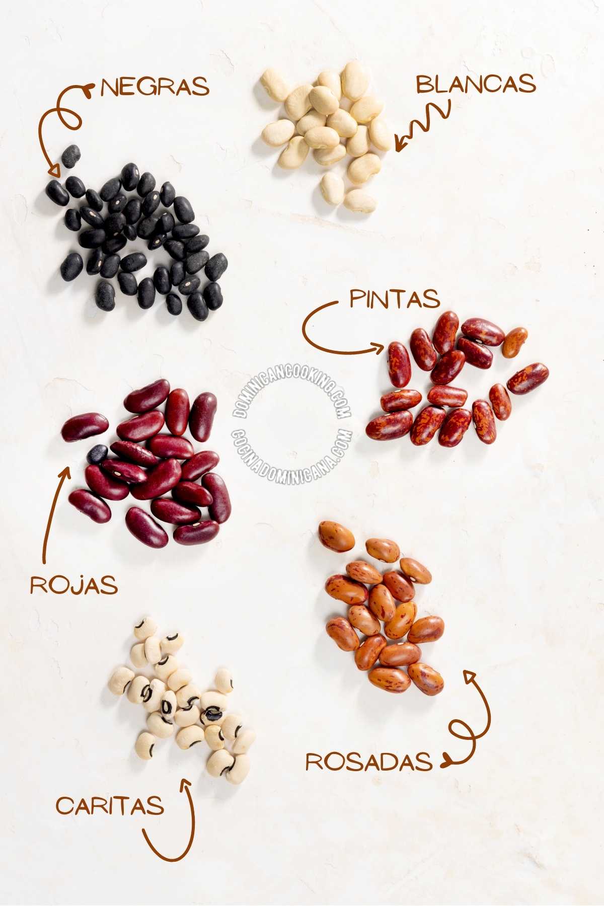 6 types of habichuelas (beans)