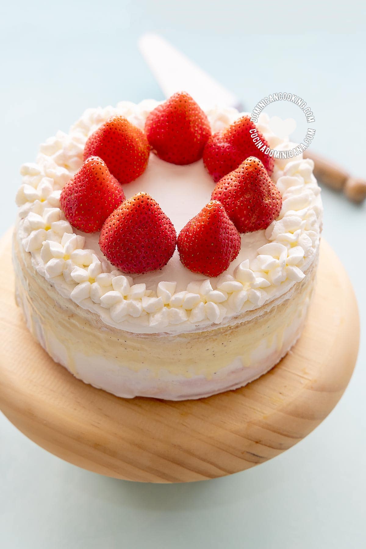 Tarta helada (ice cream cake).