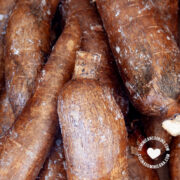 yuca (cassava root)